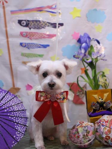 20240525ヒメちゃん 